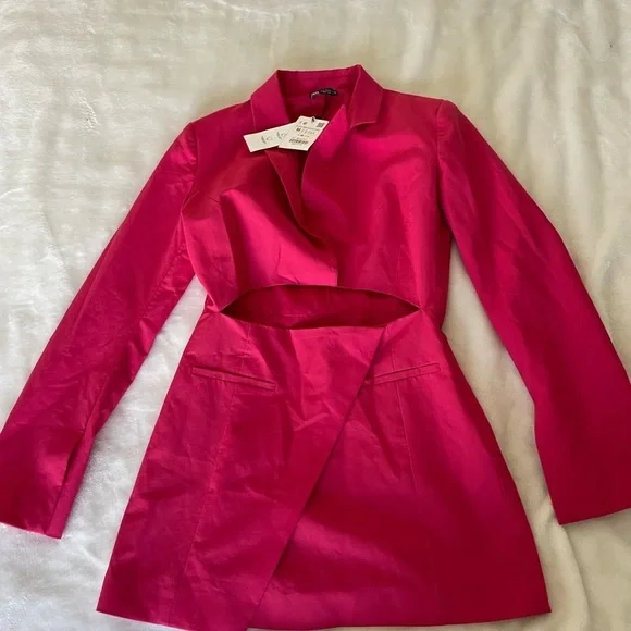 Zara Blogger Favorite Pink Cut-Out Dress - Picture 8 of 16